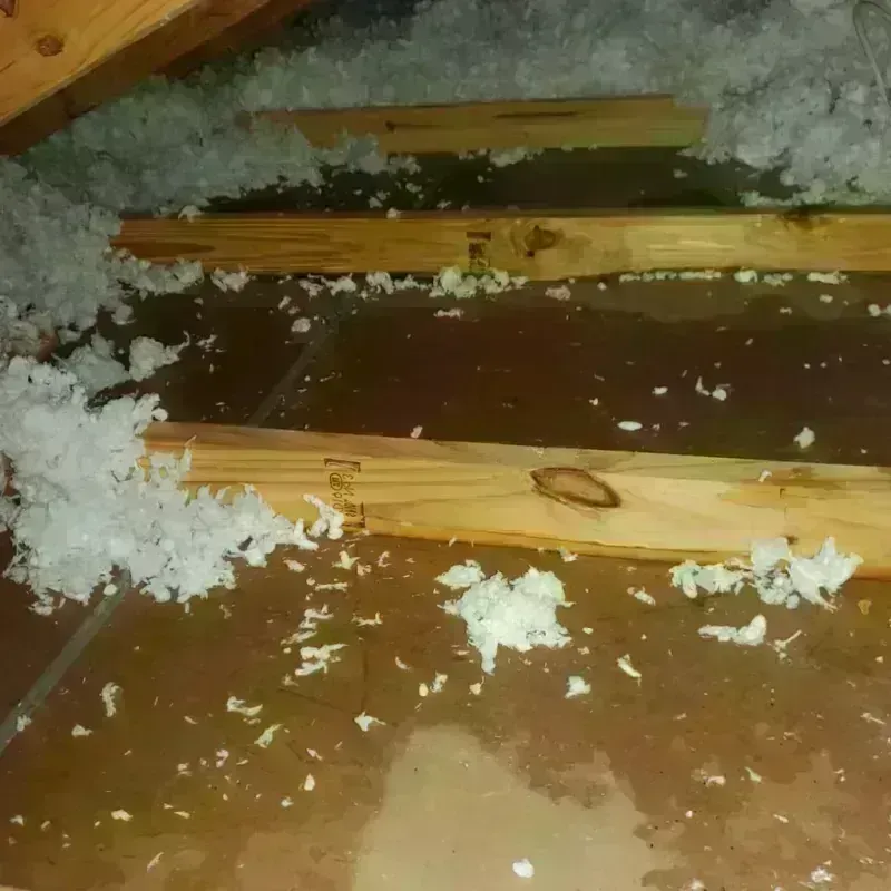 Attic Water Damage in El Lago, TX