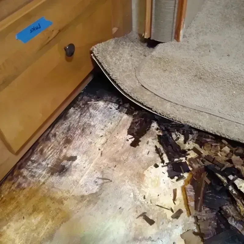 Wood Floor Water Damage in El Lago, TX